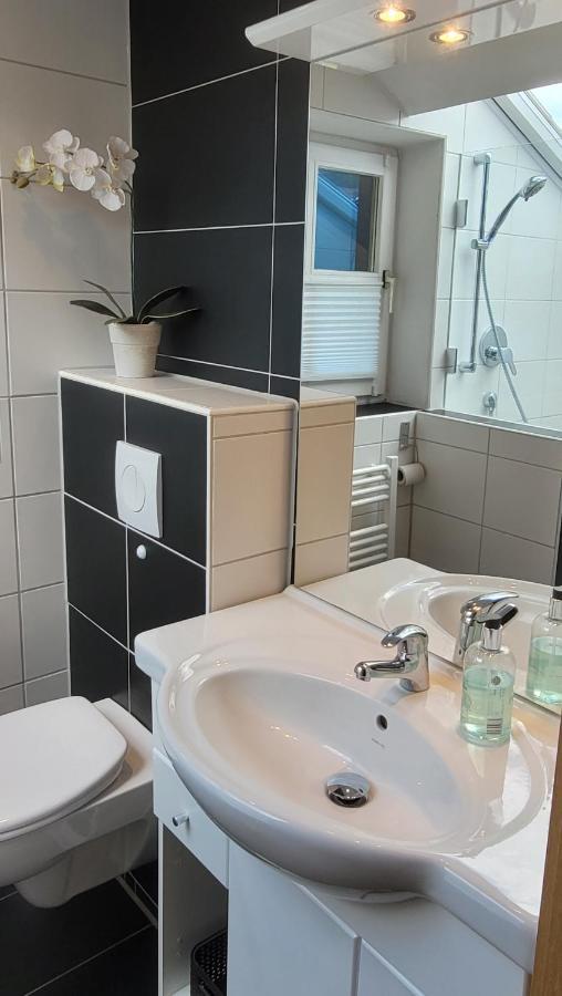 Heike Hauswirth Panorama Apartment โอเบอร์อัมเมอร์เกา ภายนอก รูปภาพ